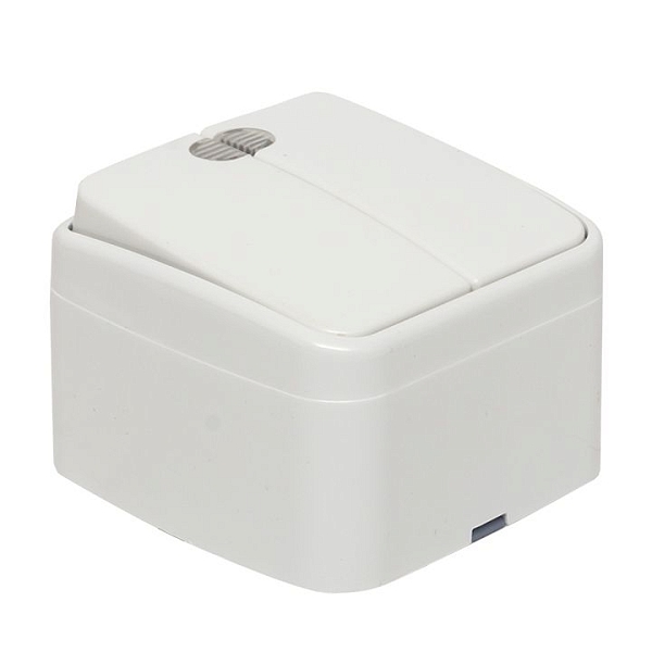 Минск Выключатель 2-клавишный ОП 10А с индикатором белый EKF