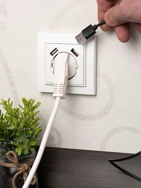 Минск Розетка 1-местная СП с/з 16А белая с защ. штор. с 2 USB 2,1А EKF