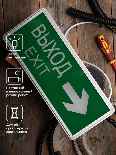 Светильник аварийно-эвакуационного освещения EXIT-202 двухсторонний LED EKF Basic