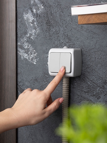 Мурманск Выключатель 2-клавишный 10А IP54 серый EKF
